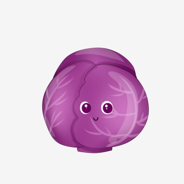 pngtree-hand-drawn-purple-cabbage-illustration-image_1241365