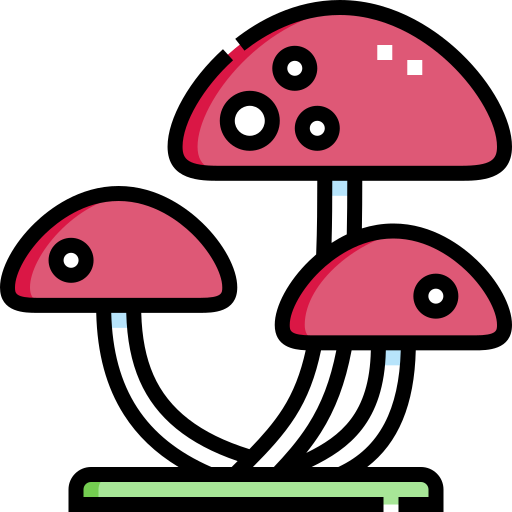 fungo
